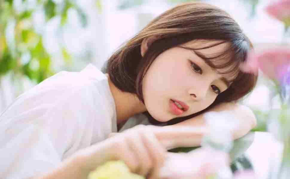 编辑推荐：月下狼人